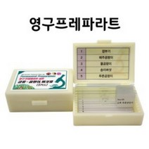 영구 프레파라트(5매입)-균류-5매
