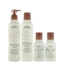 아베다 로즈메리 민트 바디 워시 250ml + 로션 200ml 2종 세트 1 상당 대용량 샘플