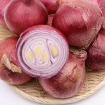 자색양파(대) 5kg 팔팔마켓 무안 빨간 적색 붉은 양파, kg