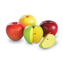 교육용 자석 사과 모형 유치원 아동 분수 교구 교사