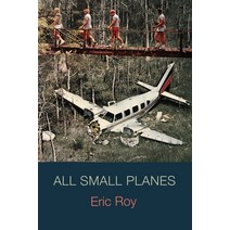All Small Planes Paperback, Lily Poetry Review, English, 9781736599006