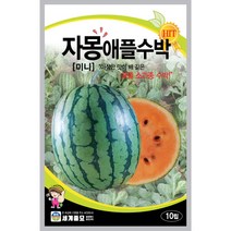자몽 애플 수박 씨앗 과일 채소 야채 종자 씨 10알, 1개