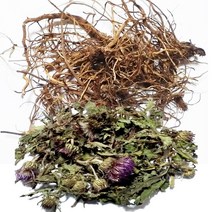 야생 채취 토종엉겅퀴 잎 꽃 300g 엉겅퀴뿌리300g 깨끗한 세척 품질 좋은 엉겅퀴 대계근