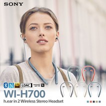 소니 WI-H700 블루투스 이어폰 무선 이어셋 헤드폰, [WI-H700/LM E][문릿블루]