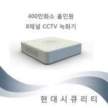 하이크비전 CCTV 녹화기 저장장치 8채널 400만화소 지원, 하이크비전 8채널 녹화기 - 1TB
