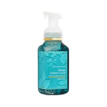 BBW 배스앤바디웍스 포밍 핸드솝 프레쉬 포레스트 세이지 259ml, 1개