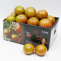 세상모든농부 달콤짭짤 부산 대저토마토 찰토마토, 대저토마토 2.5kg M