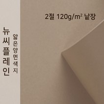 뉴씨플레인 종이문화 얇은 양면색지 120g 2절 낱장 1매 No.58 금발색, 1장