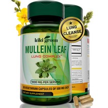 KIKIGREEN 뮬레인 잎 허브 캡슐 1000 mg 뮬레인 티백 90 비건 캡슐, 단일상품개, 90캡슐
