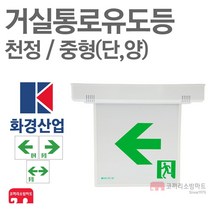 화경산업 거실통로유도등 중형 천정 단면 양면 좌방향 우방향 양방향 한방향 LED, 04-화경-거실/천정/중형/-양면/한방향