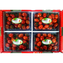 대추 방울 토마토 3kg ( 750g X 4팩 )