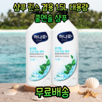 애경 정품 시원한 상쾌한 멘톨 멘솔 허브 두피 쿨 쿨링 비듬 각질 케어 린스 겸용 대용량 2 in 1 남자 남성 청소년 두피열 정수리 냄새 모공 여름 샴푸, 1.5kg, 2병