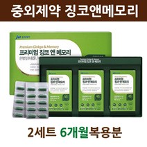 식약처인증 징코 은행잎추출물 징코빌로바 영양제 아연 비타민E 비타민B 1 2 6 엑스 기억력 프리미엄 Ginkgo 여성 남성 청소년 부모님 직장인 식약청 인정 건강기능식품, 징코엑스 2세트