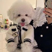 봄 가을 예쁜 애견 니트 조끼, 화이트