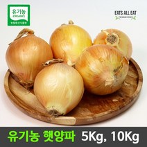 이츠올릿 국내산 유기농 햇양파 5Kg 친환경 무농약 무안 함양 양파 미네랄 바나듐 함유, 1개