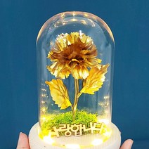 [더라임코리아] 골드 카네이션 유리돔 무드등 DIY 키트 어버이날 선물, 없음