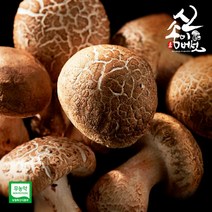 [보섭이네푸드]송이향 품은 무농약 신송이버섯 1kg 내외(1급), 단품