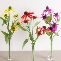 기타 바보사랑[플라워트리]에키나세아코움화병set 48cmR 조화 화분 장식 FMFUFT, 화이트A