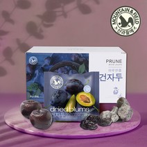 산과들에 하루건자두20g 20입 세트x2개 푸룬, 1개