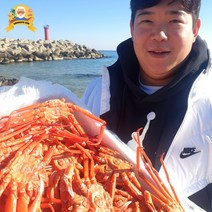 제철 대게 홍게 자숙 찜 박달 구룡포 선주직송 2kg, [신선출발]국산대게(생물or자숙찜), 박달대게 중3마리(생물)_수율90%내외