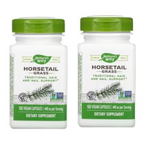 네이처스웨이 Horsetail Grass 440mg 비건 100정 2통, 1개, 기본