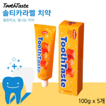 투스테이스트 솔티카라멜 치약 100g x 5개