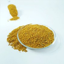 백장생 비폴렌 벌화분 먹는 꽃화분, 500g, 1개