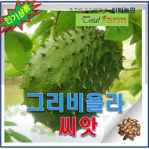 희귀씨앗/그라비올라 씨앗 10 립 /GR