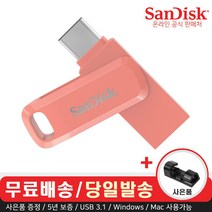 샌디스크 USB 메모리 SDDDC3 피치 C타입 OTG 3.1 대용량 + 데이터 클립, 256GB