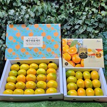 제주 고당도 하우스 감귤, 5kg 소과(2S), 1개