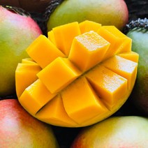 프리미엄 페루 애플망고 고당도 항공 망고 선물세트 2kg 4kg 7-9과, 2. 2kg(4-5과) / 항공