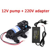 DP-521 12 V 220V 70PSI 35L/min 세차 다이어프램 물 스프레이 전기 펌프 마이크로 내구성 농업 고압, 02 12V-220V