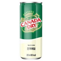 캐나다드라이 진저에일, 250ml, 60개