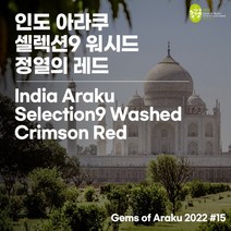 (커피생두) 297 인도 아라쿠 셀렉션9 워시드 - 정열의 레드 (Gems of Araku 2022 #15) 1kg