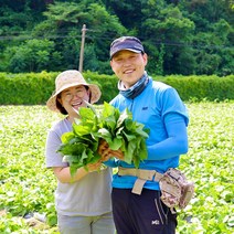 강원도 정선 곤드레, 300g + 300g, 냉동곤드레, 2개