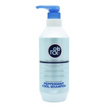 우신 알앤비 피톤테라피 페퍼민트 쿨 샴푸 1000ml
