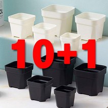 다육맘 고급형 큐빅사각플라스틱화분, 화이트