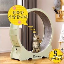 RUNCATS 무소음 간단 설치 캣휠 고양이캣휠, 간단 설치L(102*36*108), 아보카도 그린