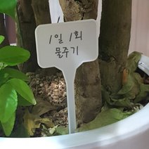 화분이름 화분팻말 작물이름표 식물이름표 18개입