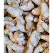 태국식품 태국갈랑가 양강근 태국 령 200g 500g 1kg 갈랑가 worldfood, 갈랑가(령)1k, 1개