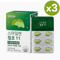 식약처 인증 기억력 혈행 개선 영양제 징코 11 은행잎 추출물 징코빌로바 뇌 두뇌 건강 영양제, 3개, 30정