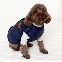 강아지조끼 모음 오가닉조끼 패딩조끼 털조끼 강아지옷 애견조끼 강아지겨울옷 초소형부터 대형견까지, 패딩조끼네이비