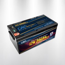 [국내제조]지에스피 리튬인산철 캠핑용 카라반 산업용 배터리 GSP-LFP-12V300A