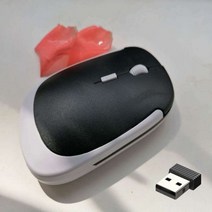 2.4Ghz 무선 마우스 게이머 컴퓨터 PC 게임용 USB 수신기 포함 윈도우 7/2000/XP/비스타 용 노트북 액세서리, G304 녹색 무선