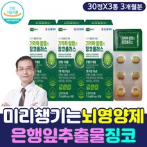 레시틴 은행잎 고령 노령 부모님 기억력 혈행 개선제 어르신 노인 노년 감퇴 감소 예방 보충제 L 엘 아르기닌 아르지닌 BCAA 아미노산 대두 식물성 토코페롤 천연 자연 항산화