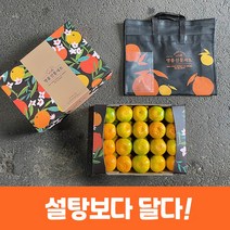 제주 감귤 노지 감귤 제철 제주도 노지귤 2kg 3kg 5kg 가정용, 3kg 소과