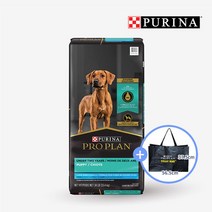 프로플랜 강아지사료 라지브리드 퍼피 15.4KG + 사은품 타포린백, 단품, 단품, 단품