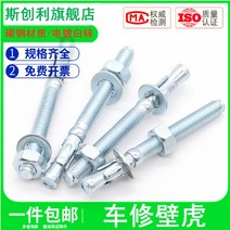 앙카 아연도금 도마뱀 차 너트 래핑 엘리베이터 전용 팽창 볼트 M8M10M20 2526127437, 12 *100 (5커버 )
