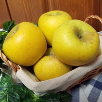 청송 시나노골드(황금사과) 3kg 5kg