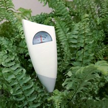 식물전파사 눈금 물주시개, 3개, 260mm